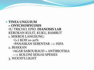  TINEA UNGUIUM
= ONYCHOMYCOSIS
•E/ TRICHO, EPID. DIANOSIS LAB
KEROKAN KULIT, KUKU, RAMBUT
1. MIKROS LANGSUNG:
•(+) KOH 10-20%
•PANASKAN SEBENTAR --> HIFA
2. BIAKKAN
•AGAR SABOURAUD + ANTIBIOTIKA
---> KOLONI SESUAI SPESIES
3. WOOD’S LIGHT
 