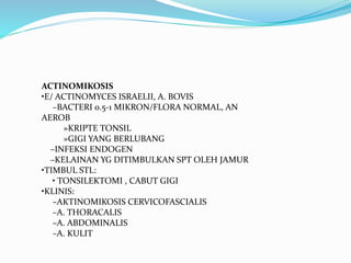 ACTINOMIKOSIS
•E/ ACTINOMYCES ISRAELII, A. BOVIS
–BACTERI 0.5-1 MIKRON/FLORA NORMAL, AN
AEROB
»KRIPTE TONSIL
»GIGI YANG BERLUBANG
–INFEKSI ENDOGEN
–KELAINAN YG DITIMBULKAN SPT OLEH JAMUR
•TIMBUL STL:
• TONSILEKTOMI , CABUT GIGI
•KLINIS:
–AKTINOMIKOSIS CERVICOFASCIALIS
–A. THORACALIS
–A. ABDOMINALIS
–A. KULIT
 