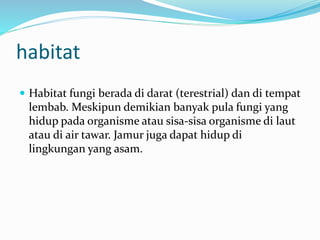 habitat
 Habitat fungi berada di darat (terestrial) dan di tempat
lembab. Meskipun demikian banyak pula fungi yang
hidup pada organisme atau sisa-sisa organisme di laut
atau di air tawar. Jamur juga dapat hidup di
lingkungan yang asam.
 