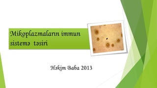 Mikoplazmaların immun
sistemə təsiri
Həkim Baba 2013
 