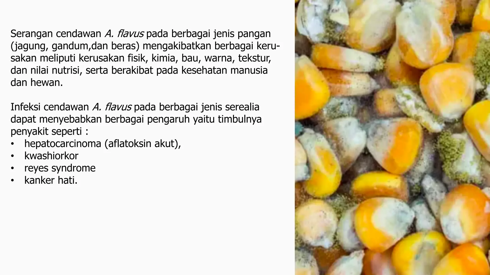 Erkaklar trans porno galereyalari