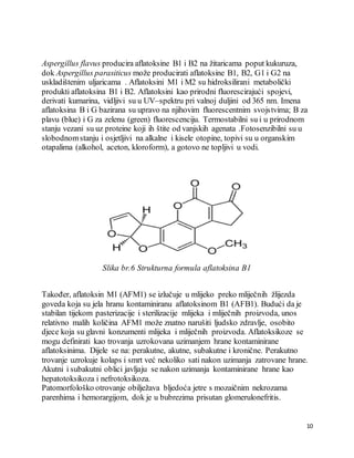 10
Aspergillus flavus producira aflatoksine B1 i B2 na žitaricama poput kukuruza,
dok Aspergillus parasiticus može producirati aflatoksine B1, B2, G1 i G2 na
uskladištenim uljaricama . Aflatoksini M1 i M2 su hidroksilirani metabolički
produkti aflatoksina B1 i B2. Aflatoksini kao prirodni fluorescirajući spojevi,
derivati kumarina, vidljivi su u UV–spektru pri valnoj duljini od 365 nm. Imena
aflatoksina B i G bazirana su upravo na njihovim fluorescentnim svojstvima; B za
plavu (blue) i G za zelenu (green) fluorescenciju. Termostabilni su i u prirodnom
stanju vezani su uz proteine koji ih štite od vanjskih agenata .Fotosenzibilni su u
slobodnomstanju i osjetljivi na alkalne i kisele otopine, topivi su u organskim
otapalima (alkohol, aceton, kloroform), a gotovo ne topljivi u vodi.
Slika br.6 Strukturna formula aflatoksina B1
Također, aflatoksin M1 (AFM1) se izlučuje u mlijeko preko mliječnih žlijezda
goveda koja su jela hranu kontaminiranu aflatoksinom B1 (AFB1). Budući da je
stabilan tijekom pasterizacije i sterilizacije mlijeka i mliječnih proizvoda, unos
relativno malih količina AFM1 može znatno narušiti ljudsko zdravlje, osobito
djece koja su glavni konzumenti mlijeka i mliječnih proizvoda. Aflatoksikoze se
mogu definirati kao trovanja uzrokovana uzimanjem hrane kontaminirane
aflatoksinima. Dijele se na: perakutne, akutne, subakutne i kronične. Perakutno
trovanje uzrokuje kolaps i smrt već nekoliko sati nakon uzimanja zatrovane hrane.
Akutni i subakutni oblici javljaju se nakon uzimanja kontaminirane hrane kao
hepatotoksikoza i nefrotoksikoza.
Patomorfološko otrovanje obilježava bljedoća jetre s mozaičnim nekrozama
parenhima i hemorargijom, dok je u bubrezima prisutan glomerulonefritis.
 