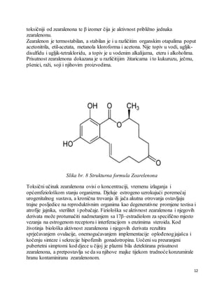 12
toksičniji od zearalenona te β izomer čija je aktivnost približno jednaka
zearalenonu.
Zearalenon je termostabilan, a stabilan je i u različitim organskim otapalima poput
acetonitrila, etil-acetata, metanola kloroforma i acetona. Nije topiv u vodi, ugljik-
disulfidu i ugljik-tetrakloridu, a topiv je u vodenim alkalijama, eteru i alkoholima.
Prisutnost zearalenona dokazana je u različitijim žitaricama i to kukuruzu, ječmu,
pšenici, raži, soji i njihovim proizvodima.
Slika br. 8 Strukturna formula Zearelenona
Toksični učinak zearalenona ovisi o koncentraciji, vremenu izlaganja i
općemfiziološkom stanju organizma. Djeluje estrogeno uzrokujući poremećaj
urogenitalnog sustava, a kronična trovanja ili jača akutna otrovanja ostavljaju
trajne posljedice na reproduktivnim organima kao degenerativne promjene testisa i
atrofije jajnika, sterilitet i pobačaje. Fiziološka se aktivnost zearalenona i njegovih
derivata može protumačiti nadmetanjem sa 17β–estradiolom za specifično mjesto
vezanja na estrogenom receptoru i interferacijom s enzimima steroida. Kod
životinja biološka aktivnost zearalenona i njegovih derivata rezultira
sprječavanjem ovulacije, onemogućavanjem implementacije oplođenogjajašca i
kočenju sinteze i sekrecije hipofiznih gonadotropina. Uočeni su preuranjeni
pubertetni simptomi kod djece u čijoj je plazmi bila detektirana prisutnost
zearalenona, a pretpostavlja se da su njihove majke tijekom trudnoće konzumirale
hranu kontaminiranu zearalenonom.
 