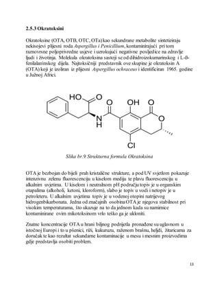 13
2.5.3 Okratoksini
Okratoksine (OTA, OTB, OTC, OTa)kao sekundrane metabolite sintetiziraju
nekisojevi plijesni roda Aspergillus i Penicillium, kontaminirajući pri tom
raznovrsne poljoprivredne usjeve i uzrokujući negativne posljedice na zdravlje
ljudi i životinja. Molekula okratoksina sastoji se od dihidroizokumarinskog i L-ß-
fenilalaninskog dijela. Najtoksičniji predstavnik ove skupine je okratoksin A
(OTA) koji je izoliran iz plijesni Aspergillus ochraceus i identificiran 1965. godine
u Južnoj Africi.
Slika br.9 Strukturna formula Okratoksina
OTA je bezbojan do bijeli prah kristalične strukture, a pod UV svjetlom pokazuje
intenzivnu zelenu fluorescenciju u kiselom mediju te plavu fluorescenciju u
alkalnim uvjetima. U kiselom i neutralnom pH području topiv je u organskim
otapalima (alkoholi, ketoni, kloroform), slabo je topiv u vodi i netopiv je u
petroleteru. U alkalnim uvjetima topiv je u vodenojotopini natrijevog
hidrogenbikarbonata. Jedna od značajnih osobinaOTA je njegova stabilnost pri
visokim temperaturama, što ukazuje na to da jednom kada su namirnice
kontaminirane ovim mikotoksinom vrlo teško ga je ukloniti.
Znatne koncentracije OTA u hrani biljnog podrijetla pronađene su uglavnom u
istočnoj Europi i to u pšenici, riži, kukuruzu, raženom brašnu, heljdi, žitaricama za
doručak te kao rezultat sekundarne kontaminacije u mesu i mesnim proizvodima
gdje predstavlja osobiti problem.
 