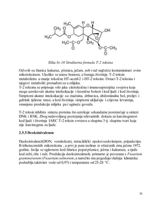15
Slika br.10 Strukturna formula T-2 toksina
Od svih su žitarica kukuruz, pšenica, ječam, zob i raž najčešće kontaminirani ovim
mikotoksinom. Ukoliko se unese hranom, u buragu životinja T-2 toksin
metabolizira u manje toksične HT-acetil-2 i HT-2 toksine. Ostaci T-2 toksina i
njegovi metaboliti pronađeni su u mlijeku.
T-2 toksinu se pripisuju vrlo jaka citotoksična i imunosupresijska svojstva koja
mogu uzrokovati akutne intoksikacije i kronične bolesti i kod ljudi i kod životinja.
Simptomi akutne intoksikacije su: mučnina, drhtavica, abdominalna bol, proljev i
gubitak tjelesne mase, a kod životinja simptomi uključuju i crijevna krvarenja,
smanjenu produkciju mlijeka pa i uginuće goveda.
T-2 toksin inhibira sintezu proteina što uzrokuje sekundarne poremećaje u sintezi
DNK i RNK. Zbog nedovoljnog postojanja relevantnih dokaza za karcinogenost
kod ljudi i životinja IARC T-2 toksin svrstava u skupinu 3 tj. skupinu tvari koja
nije karcinogena za ljude.
2.5.5 Deoksinivalenon
Deoksinivalenol(DON, vomitoksin), tetraciklički epoksi-seskviterpen, pripada tipu
B trihotecenskih mikotoksina , a prvi je puta izoliran iz oštećenih zrna ječma 1972.
godine. Javlja se uglavnom kod žitarica poputpšenice, ječma i kukuruza, a rjeđe
kod zobi, riže i raži. Produkcija deoksinivalenola primarno je povezana s Fusarium
graminerarum iFusarium culmorum, a naročito mu pogoduju vlažnija klimatska
podneblja (aktivitet vode od 0,97) i temperatura od 25-28 °C.
 