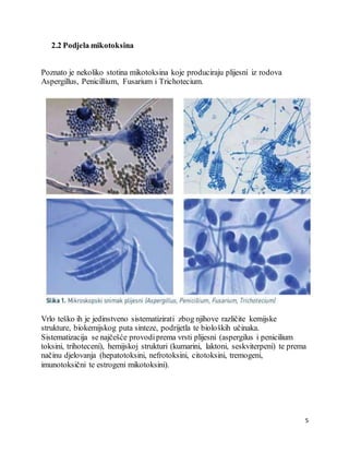 5
2.2 Podjela mikotoksina
Poznato je nekoliko stotina mikotoksina koje produciraju plijesni iz rodova
Aspergillus, Penicillium, Fusarium i Trichotecium.
Vrlo teško ih je jedinstveno sistematizirati zbog njihove različite kemijske
strukture, biokemijskog puta sinteze, podrijetla te bioloških učinaka.
Sistematizacija se najčešće provodiprema vrsti plijesni (aspergilus i penicilium
toksini, trihoteceni), hemijskoj strukturi (kumarini, laktoni, seskviterpeni) te prema
načinu djelovanja (hepatotoksini, nefrotoksini, citotoksini, tremogeni,
imunotoksični te estrogeni mikotoksini).
 