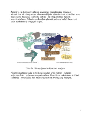 7
Zanimljivo je da prisustvo plijesni u namirnici ne znači nužno prisutnost
mikotoksina, ali s druge strane odsutnostvidljivih plijesni u hrani ne znači da nema
mikotoksina, budućida su isti vrlo stabilni i otporniperzistiraju tijekom
procesiranja hrane. Također, predstavljaju globalni problem, budućida su česti
izvori kontaminacije svugdje u svijetu.
Slika br.3 Zastupljenost mikotoksina u svijetu
Posebno je zabrinjavajuće to što ih se pronalazi u vrlo važnim i različitim
poljoprivrednim i prehrambenim proizvodima. Glavni izvor mikotoksina kod ljudi
su žitarice i proizvodi na bazi žitarica te proizvodi životinjskog podrijetla.
 