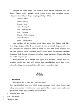 Aspergillus sp sangat aerobik dan ditemukan hampir disemua lingkungan yang kaya 
oksigen. Dimana mereka umumnya tumbuh sebagai cetakan pada permukaan substrat. 
Sebagai akibat dari tekanan oksigen yang tinggi (Waluyo, 2007). 
Klasifikasi lmiah: 
Domain : Eukarya 
Kerajaan : Jamur 
Filum : Ascomycota 
Kelas : Eurotiomycetes 
Order : Eurotiales 
Keluarga : Trichocomaceae 
Genus : Aspergillus 
Spesies : Aspergillus sp 
Pada praktikum kali ini digunakan metode block square slide. Dimana media PDA 
dibuat dengan ketipisan sekitas 2 mm, kemudian dibentuk seperti dadu dengan ukuran 1 x 1 
cm. keuntungan dari penggunaan metode ini adalah kita dapat lebih mudah mengamati dari 
fungi yang dihasilkan karena penggunaan metode aquare sampel yang digunakan diletakkan 
dipinggairan block. Karena penggunaan (peletakkan) sampel dicetakkan dipinggir maka akan 
lebih mudah mengamatinya. 
Dalam praktikum kali ini mungkin saja terjadi faktor kesalahan. Misalnya pada saat 
pengolesan sampel tidak begitu teliti sehingga dapat mengakibatkan sampel tidak melekat 
pada media sehingga dapat mengakibatkan tidak adanya pertumbuhan fungi. 
BAB V 
PENUTUP 
5.1 Kesimpulan 
Dari praktikum kali ini dapat ditari kesimpulan bahwa: 
 Cara mengidentifikasi dasar jamur adalah dengan mengamati bentuk koloni, diameter, tepi 
koloni, permukaannya, konsistensinya, warna, pembentukkan pigmen dalam media dan 
apakah koloni tumbuh pada permukaan atau dalam media 
 Jenis-jenis fungi yaitu: 
o Yeast / ragi / khamir 
o Fillamentus fungi 
 