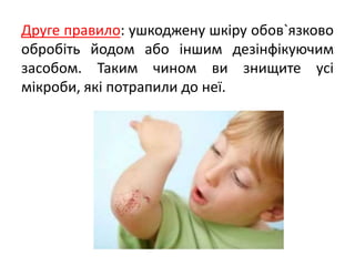 Друге правило: ушкоджену шкіру обов`язково
обробіть йодом або іншим дезінфікуючим
засобом. Таким чином ви знищите усі
мікроби, які потрапили до неї.