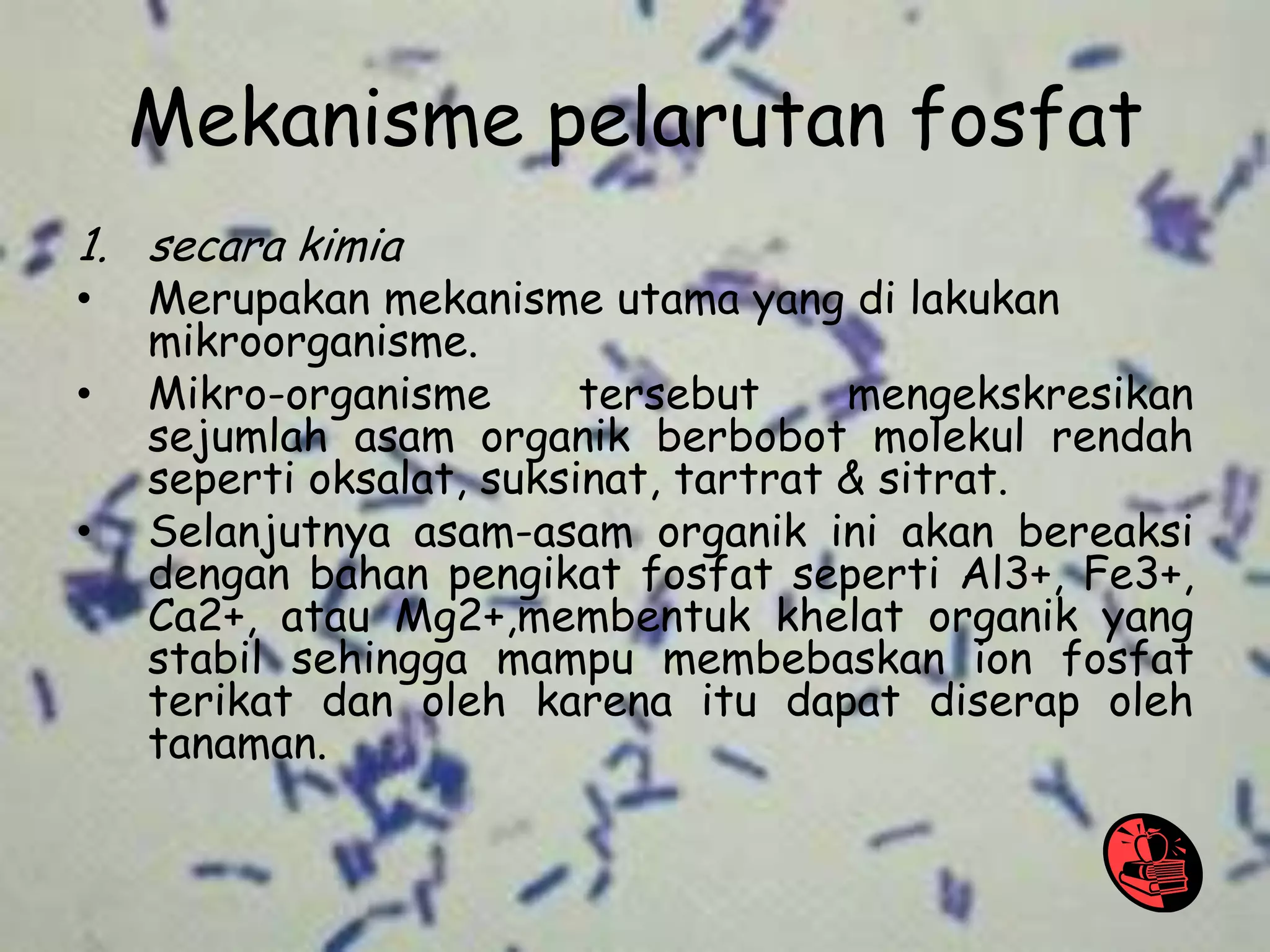 Mikroba pelarut posfat | PPTX
