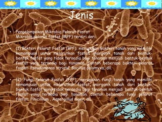 Jenis
• Pengelompokan Mikrobia Pelarut Fosfat
Mikrobia pelarut fosfat (MPF) terdiri dari:
• (1) Bakteri Pelarut Fosfat (BPF), merupakan Bakteri tanah yang memiliki
kemampuan untuk melarutkan fosfat anorganik tanah dari bentuk-
bentuk fosfat yang tidak tersedia bagi tanaman menjadi bentuk-bentuk
fosfat yang tersedia bagi tanaman. Contoh beberapa bakteri pelarut
fosfat: Pseudomonas striata, Bacillus polymyxa, dll.
• (2) Fungi Pelarut Fosfat (FPF), merupakan fungi tanah yang memiliki
kemampuan untuk melarutkan fosfat anorganik tanah dari bentuk-
bentuk fosfat yang tidak tersedia bagi tanaman menjadi bentuk-bentuk
fosfat yang tersedia bagi tanaman. Contoh beberapa fungi pelarut
fosfat: Pinicillium , Aspergillus niger, dll.
 