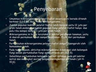 Penyebaran
• Umumnya mikroorganisme pelarut fosfat secara alami berada ditanah
berkisar 0,1-0,5% dari total mikroorganisme.
• Jumlah populasi bakteri pelarut fosfat lebih banyak yaitu 12 juta per
gram tanah,sedangkan jumlah populasi fungi pelarut fosfat hanya dua
pulu ribu sampai dengan 1 juta per gram tanah.
• Mikroorganisme ini hidup terutama di sekitar perakaran tanaman, yaitu
di daerah permukaan tanah sampai kedalaman 25 cm dari permukaan
tanah.
• Pertumbuhan mikroorganisme pelarut fosfat sangat dipengaruhi oleh
kemasaman tanah.
• Pada tanah masam, aktivitas mikroorganisme didominasi oleh kelompok
fungi sebab pertumbuhan fungi optimum pada pH (5-5,5).
• Sebaliknya pertumbuhan kelompok bakteri optimum pada pH sekitar
netral dan meningkat seiring dengan meningkatnya pH tanah ( pH 4-
10,6).
 