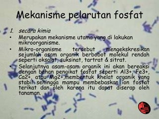 Mekanisme pelarutan fosfat
1. secara kimia
• Merupakan mekanisme utama yang di lakukan
mikroorganisme.
• Mikro-organisme tersebut mengekskresikan
sejumlah asam organik berbobot molekul rendah
seperti oksalat, suksinat, tartrat & sitrat.
• Selanjutnya asam-asam organik ini akan bereaksi
dengan bahan pengikat fosfat seperti Al3+, Fe3+,
Ca2+, atau Mg2+,membentuk khelat organik yang
stabil sehingga mampu membebaskan ion fosfat
terikat dan oleh karena itu dapat diserap oleh
tanaman.
 