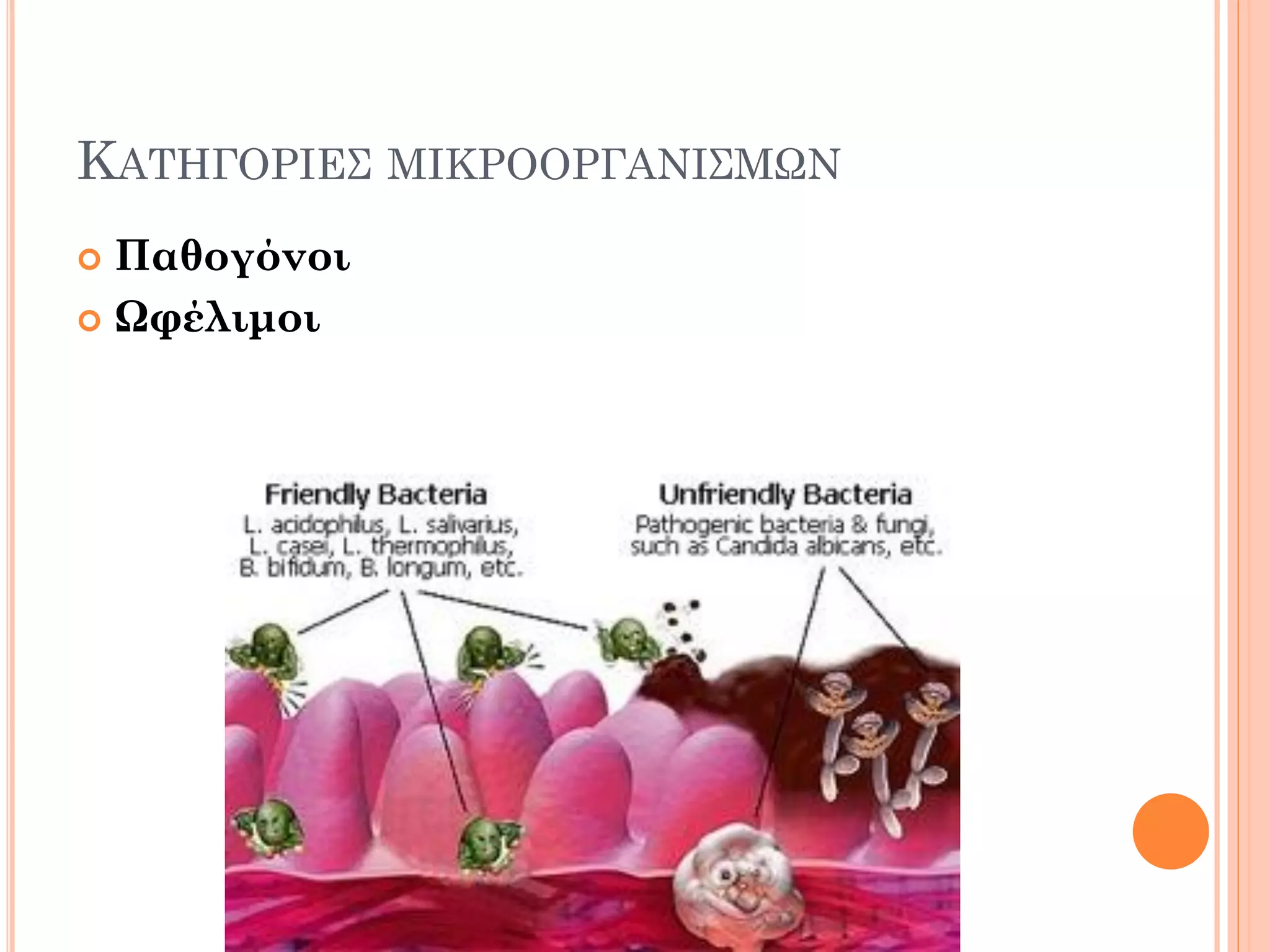 ΚΑΤΗΓΟΡΙΕΣ ΜΙΚΡΟΟΡΓΑΝΙΣΜΩΝ 
Παθογόνοι 
Ωφέλιμοι  