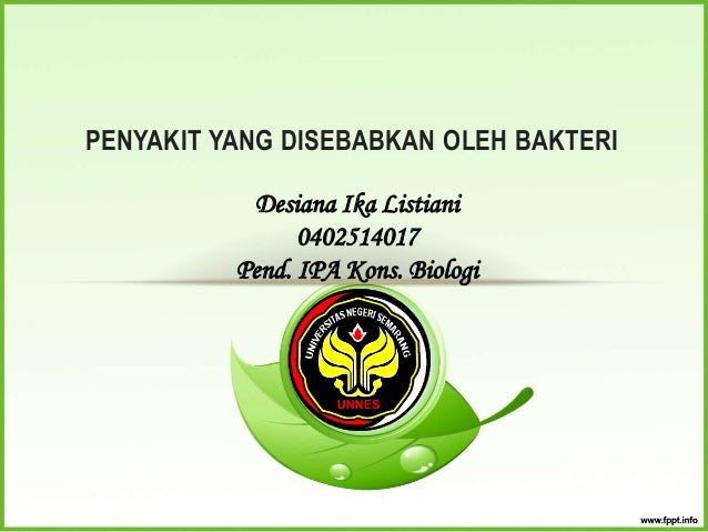 hubungan mikroba bakteri terhadap penyakit 