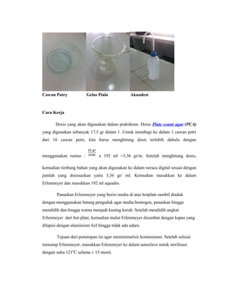 Cawan Patry Gelas Piala Akuadest
Cara Kerja
Dosis yang akan digunakan dalam praktikum. Dosis Plate count agar (PCA)
yang digunakan sebanyak 17,5 gr dalam 1. Untuk membagi ke dalam 1 cawan petri
dari 16 cawan petri, kita harus menghitung dosis terlebih dahulu dengan
menggunakan rumus : x 192 ml =3,36 gr/m. Setelah menghitung dosis,
kemudian timbang bahan yang akan digunakan ke dalam neraca digital sesuai dengan
jumlah yang disesuaikan yaitu 3,36 gr/ ml. Kemudian masukkan ke dalam
Erlenmeyer dan masukkan 192 ml aquades.
Panaskan Erlenmeyer yang berisi media di atas hotplate sambil diaduk
dengan menggunakan batang pengaduk agar media homogen, panaskan hingga
mendidih dan hingga warna menjadi kuning keruh. Setelah mendidih angkat
Erlenmeyer dari hot plate, kemudian mulut Erlenmeyer disumbat dengan kapas yang
dilapisi dengan aluminium foil hingga tidak ada udara.
Tujuan dari penutupan ini agar meminimalisir kontaminasi. Setelah selesai
menutup Erlenmeyer, masukkan Erlenmeyer ke dalam autoclave untuk sterilisasi
dengan suhu 1210
C selama ± 15 menit.
 