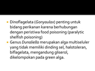  Dinoflagelata (Gonyaulax) penting untuk
bidang perikanan karena berhubungan
dengan peristiwa food poisoning (paralytic
shelfish poisoning)
 Genus Dunaliella merupakan alga multiseluler
yang tidak memiliki dinding sel, halotoleran,
biflagelata, mengandung gliserol,
dikelompokan pada green alga.
 
