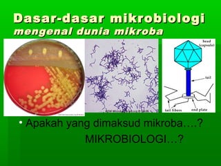 Dasar-dasar mikrobiologi
mengenal dunia mikroba




• Apakah yang dimaksud mikroba….?
           MIKROBIOLOGI…?
 