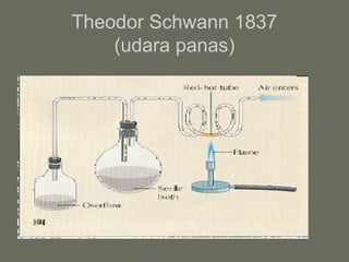 Theodor Schwann 1837
    (udara panas)
 