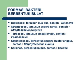 FORMASI BAKTERI
BERBENTUK BULAT

   Diplococci, tersusun dua-dua, contoh : Neisseria
   Streptococci, tersusun seperti rantai, contoh :
    Streptococcus pyogenes
   Tetracocci, tersusun empat-empat, contoh :
    Pediococcus
   Staphylococci, berbentuk seperti cluster anggur,
     contoh : Staphylococcus aureus
   Sarcinae, berbentuk kubus, contoh : Sarcina
 