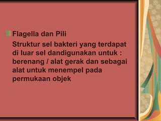 Flagella dan Pili
Struktur sel bakteri yang terdapat
di luar sel dandigunakan untuk :
berenang / alat gerak dan sebagai
alat untuk menempel pada
permukaan objek
 