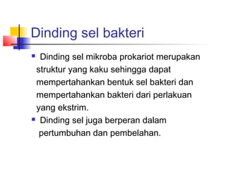 Dinding sel bakteri
 Dinding sel mikroba prokariot merupakan
 struktur yang kaku sehingga dapat
 mempertahankan bentuk sel bakteri dan
 mempertahankan bakteri dari perlakuan
 yang ekstrim.
 Dinding sel juga berperan dalam

  pertumbuhan dan pembelahan.
 
