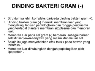DINDING BAKTERI GRAM (-)

• Strukturnya lebih kompleks daripada dinding bakteri gram +).
• Dinding bakteri gram (-) memiliki membran luar yang
  mengelilingi lapisan peptidoglikan dan rongga periplasma
  yang terdapat diantara membran sitoplasma dan membran
  luar.
• Membran luar pada sel gram (-) berperan sebagai barrier
  selektif senyawa-senyawa yang masuk dan keluar sel.
• Selain itu juga menyebabkan efek toksik pada hewan yang
  terinfeksi.
• Membran luar dihubungkan dengan peptidoglikan oleh
  lipoprotein .
 