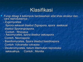 Klasifikasi
    Fungi dibagi 4 kelompok berdasarkan sifat khas struktur dan
     cara reproduksinya :
    - Zygomycetes
       Sprora seksual disebut Zigospora, spora aseksual
      disebut Sporangiospora.
       Contoh : Rhizopus
     - Ascomycetes, spora disebur askospora
      Contoh, Neorospora
    - Basidiomycetes, Spora disebut basidiospora
      Contoh: Volvariella volvacea
    - Deuteromycetes, belum ditemukan reproduksi
       seksualnya. Contoh ; Monilia
 