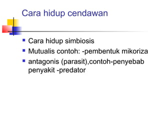 Cara hidup cendawan

   Cara hidup simbiosis
   Mutualis contoh: -pembentuk mikoriza
   antagonis (parasit),contoh-penyebab
    penyakit -predator
 
