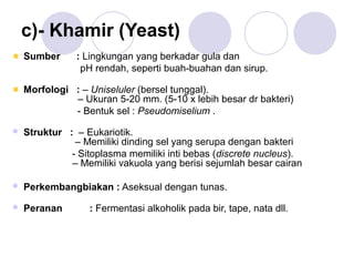 c)- Khamir (Yeast)
    Sumber     : Lingkungan yang berkadar gula dan
                pH rendah, seperti buah-buahan dan sirup.

    Morfologi : – Uniseluler (bersel tunggal).
              – Ukuran 5-20 mm. (5-10 x lebih besar dr bakteri)
              - Bentuk sel : Pseudomiselium .

   Struktur : – Eukariotik.
               – Memiliki dinding sel yang serupa dengan bakteri
              - Sitoplasma memiliki inti bebas (discrete nucleus).
              – Memiliki vakuola yang berisi sejumlah besar cairan

   Perkembangbiakan : Aseksual dengan tunas.

   Peranan       : Fermentasi alkoholik pada bir, tape, nata dll.
 