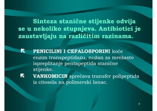 Sinteza stanične stijenke odvija
se u nekoliko stupnjeva. Antibiotici je
zaustavljaju na različitim razinama.

   PENICILINI I CEFALOSPORINI koče  koče
    enzim transpeptidazu, nužan za mrežasto
    ispreplitanje pentapeptida stanične
    stijenke.
   VANKOMICIN sprečava transfer polipeptida
                    spreč
    iz citosola na polimerski lanac.



                                           4
 