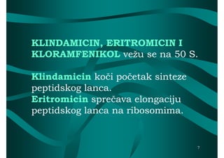 KLINDAMICIN, ERITROMICIN I
KLORAMFENIKOL vežu se na 50 S.

Klindamicin koči početak sinteze
peptidskog lanca.
Eritromicin sprečava elongaciju
peptidskog lanca na ribosomima.


                                   7
 
