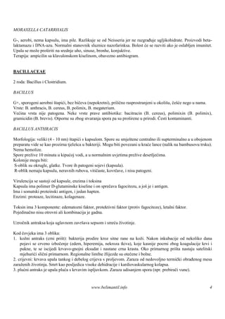 MORAXELLA CATARRHALIS

G-, aerobi, nema kapsulu, ima pile. Razlikuje se od Neisseria jer ne razgrađuje ugljikohidrate. Proizvodi beta-
laktamazu i DNA-azu. Normalni stanovnik sluznice nazofarinksa. Bolest će se razviti ako je oslabljen imunitet.
Upala se može proš na srednje uho, sinuse, bronhe, konjuktive.
                    iriti
Terapija: ampicilin sa klavulonskom kiselinom, obavezno antibiogram.


BACILLACEAE

2 roda: Bacillus i Clostridium.

BACILLUS

G+, sporogeni aerobni štapići, bez bičeva (nepokretni), prilično rasprostranjeni u okolišu, češće nego u nama.
Vrste: B. anthracis, B. cereus, B. polimix, B. megaterium.
Većina vrsta nije patogena. Neke vrste prave antibiotike: bacitracin (B. cereus), polimixin (B. polimix),
gramicidin (B. brevis). Otporne su zbog stvaranja spora pa su proširene u prirodi. Česti kontaminanti.

BACILLUS ANTHRACIS

Morfologija: veliki (4 - 10 nm) štapići s kapsulom. Spore su smještene centralno ili supterminalno a u obojenom
preparatu vide se kao prozirna tjelešca u bakteriji. Mogu biti povezani u kraće lance (nalik na bambusovu trsku).
Nema hemolize.
Spore prežive 10 minuta u kipućoj vodi, a u normalnim uvjetima prežive desetljećima.
Kolonije mogu biti:
S-oblik su okrugle, glatke. Tvore ih patogeni sojevi (kapsula).
R-oblik nemaju kapsulu, neravnih rubova, vitičaste, kovrčave, i nisu patogeni.

Virulencija se sastoji od kapsule, enzima i toksina
Kapsula ima polimer D-glutaminske kiseline i on sprečava fagocitozu, a još je i antigen.
Ima i somatski proteinski antigen, i jedan hapten.
Enzimi: proteaze, lecitinaze, kolagenaze.

Toksin ima 3 komponente: edematozni faktor, protektivni faktor (protiv fagocitoze), letalni faktor.
Pojedinačno nisu otrovni ali kombinacija je gadna.

Uzročnik antraksa koja uglavnom završava sepsom i smrću životinje.

Kod čovjeka ima 3 oblika:
1. kožni antraks (crni priš bakterija prodire kroz sitne rane na koži. Nakon inkubacije od nekoliko dana
                             t):
    pojavi se crveno izbočenje (edem, hiperemija, nekroza tkiva), koje kasnije pocrni zbog koagulacije krvi i
    pukne, te se iscijedi krvavo-gnojni eksudat i nastane crna krasta. Oko primarnog priš nastaju satelitski
                                                                                            ta
    mjehurići slični primarnom. Regionalne limfne žlijezde su otečene i bolne.
2. crijevni: krvava upala tankog i debelog crijeva s proljevom. Zaraza od nedovoljno termički obrađenog mesa
zaraženih životinja. Smrt kao posljedica visoke dehidracije i kardiovaskularnog kolapsa.
3. plućni antraks je upala pluća s krvavim ispljuvkom. Zaraza udisanjem spora (npr. prebirači vune).


                                            www.belimantil.info                                                4
 