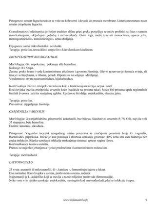 Patogenost: unutar fagocita toksin se veže na kolesterol i dovodi do prsnuća membrane. Listeria nesmetano raste
unutar citoplazme fagocita.

Granulomatosis infatiseptica je bolest trudnice slične gripi, preko posteljice se može proš na fetus s raznim
                                                                                           iriti
manifestacijama, uključujući pobačaj i mrtvorođenče. Osim toga, može izazvati monocitozu, apsces jetre,
meningoencefalitis, tonzilofaringitis, očna oboljenja.

Dijagnoza: samo mikrobiološ i serološ
                                ki          ki.
Terapija: penicilin, tetraciklin i ampicilin s klavulonskom kiselinom.

ERYSIPELOTHRIX RHUSIOPATHIAE

Morfologija: G+, nepokretan, pokazuju alfa hemolizu.
Kolonije: R i S tipa.
Zaraza: preko hrane i vode kontaminirane piš  alinom i govnom životinja. Glavni rezervoar je domaća svinja, ali
ima je i u školjkama, u ribama, peradi. Otporni su na soljenje i dimljenje.
Virulentnost: stvara neuroaminidazu, hijalurinodazu

Kod životinja izazove erizipel: crvenilo na koži s tendencoijom š    irenja, sepsa i smrt.
Kod čovjeka izaziva erizipeloid, crvenilo kože (najčešće na prstima ruke). Može biti prisutna upala regionalnih
limfnih čvorova i artritis susjednog zgloba. Rijetko se širi dalje: endokarditis, slezena, jetra.

Terapija: penicilin.
Preventiva: cijepeljenje životinja.

GARDENELLA VAGINALIS

Morfologija: G-varijabilabilna, pleomorfni kokobacili, bez bičeva, fakultativni anaerob (5-7% O2), najviš voli
                                                                                                         e
35 stupnjeva, beta hemoliza.
Enzimi: katalaza-, oksidaza-.

Patogenost: Vaginalni iscjedak neugodnog mirisa povezana sa značajnim porastom broja G. vaginalis,
Bacteroides, peptokoka. Infekcije kod porođaja i abortusa uzrokuju groznice. 40% žena ima ovu bakteriju bez
znaka infekcije. Rijetko uzrokuje infekcije mokraćnog sistema i apsces vagine i jetre.
Kod muš  karaca izaziva uretritis.
Prenosi se najčešće jebanjem a rijetko predmetima i kontaminiranim mokraćom.

Terapija: metronidazol

LACTOBACILLUS

25 vrsta: anaerobi ili mikroaerofili, G+, katalaza -, fermentiraju šećere u laktat.
Dio normalne flore čovjeka u ustima, probavnom sistemu, rodnici.
Najpoznatiji je L. acidofilus koji se stavlja u razne mliječne proizvode (fermentacija).
Neke vrste vrlo rijetko uzrokuju: endokarditis, meningitis kod novorođenčadi, plućne infekcije i sepsu.




                                             www.belimantil.info                                             9
 