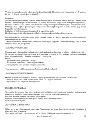 Virulencija: endotoksin, miš toksin, površ
                               ji             inski antifagocitički faktori (proteini, lipoproteini), V i W antigen.
Za rast i virulenciju važna je koncetracija Ca2+.

Patogeneza:
Štakorova buha ugrize čovjeka, Yersinie odlaze limfnim putem do čvorova, koji se povećaju i postanu bolni
(buboni - bubonska kuga). Iz bubona idu u krv, nastaje bakterijemija, koja dovodi do rasprostranjenih lezija,
krvarenja i nekroza u koži, slezeni, jetri, sluznicama. Nastaju velika potkožna hemoragična područja (crna smrt).
Bakterije dolaze i u pluća (plućna kuga). Nastaju krvave nekroze plućnog tkiva uz obilan zarazni gnoj. Plućna
kuga se širi kapljičnim putem.
Infekcija vrlo virulentnim uzročnikom dovodi do sepse i brze smrti.
Dovoljna je samo jedna bakterija za razvoj bolesti. Imunitet nakon preboljene bolesti je dobar.

Prije antibiotske ere, letalitet bubonskog oblika varirao je između 50 i 90 %, a pneumonični i septikemični oblik
bili su smrtonosni bez iznimke.
Terapija: streptomicin, kloramfenikol, tetraciklini. Zahvaljujući cijepljenju (atenuirane bekterije) kuga je danas
endemska bolest ako ju uopće ima.

YERSINIA ENTEROCOLITICA

Uzorkuje upale želuca, tankog i debelog crijeva najčešće kod djece. Rezervoar su mlijeko i mliječni proizvodi.
Ne pokazuje bipolarno bojanje, nepokretna na 37 stupnjeva, a pokretna na 22, a pazi ovo: može se razmnožavati
i na 4 stupnja (koje đubre). Ima više serotipova (O i H antigeni).
Bolesti:
1. gastroenterokolitis (povraćanje i proljev).
2. mezenterični limfadenitis - limfne žlijezde u trbuhu
3. sepsa je rijetka, samo u slučaju smanjenog imuniteta

Terapija: na osnovi antibiograma (kloramfenikol, tetraciklini, amikacin).

YERSINIA PSEUDOTUBERCULOSIS

Osobine: pokretna na 22 stupnjeva, ne stvara kapsulu, polarno bojenje nije obavezno, viš serotipova.
                                                                                        e
Vrlo slične bolesti kao i kod Y. enterokolitike, slično kao i crijevna tuberkuloza.
Terapija: tetraciklini, amipicilin, aminoglikozidi.


PSEUDOMONADACEAE

Morfologija: G-, pokretni zbog bičeva koji mogu biti različiti po broju i smještaju, ima pile s kojima prenosi
otpornost na antibiotike. Nema kapsulu, ne pravi spore. Aerobni, ne razgrađuju saharozu.
Ima ih tlu, vodama, biljkama, životinjama, ljudskoj koži.
Pigmenti: fluorescin (žuto), piocianin (plavo zeleno), rijetko piorubin (crveno).
Slični su enterobakterijama.

PSEUDOMONAS AERUGINOSA

Nalazi se u tzv. fluorescentnoj grupi roda Pseudomonas jer stvara fluorescentni pigment (piocijanin i
fluorescin). Izaziva hemolizu.
Morfologija: mali štapići s monopolarnim bičem i pilama. Neki sojevi imaju sluzavu ovojnicu.
                                             www.belimantil.info                                                 14
 