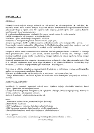 BRUCELLACEAE

BRUCELLA

Uzrokuju zoonoze koje se nazivaju bruceloze: Br. suis (svinja), Br. abortus (govedo), Br. canis (pas), Br.
melitensis (koza). Bolest se može prenijeti na čovjeka, najčešće neprokuhanim ili nepasteriziranim mlijekom
zaraženih životinja, te svježim sirom (tzv. neprofesionalne infekcije), a može i preko kože i sluznice. Naročito
ugroženi čuvari stoke, veterinari, mesari.
G- nepokretni aerobni asporogeni kokobacili. Obzirom na kapsulu postoje dva oblika kolonija:
R-oblik nema kapsulu, nije virulentan i aglutinira akriflavin.
S-oblik ima kapsulu, virulentan je i ne aglutinira akriflavin.
Rastu samo na podlogama obogaćenim aminokiselinama (sojin agar).
Antigeni: aglutinogeni A i M u različitim omjerima kod različitih vrsta. Važno za dijagnostiku i cjepivo.
Unutarstanični paraziti, imaju zaštitu od fagocitoze. S-oblici bakterija sadrže endotoksin u staničnom zidu koji
im omogućava prodor u stanice domaćina. To uzrokuje izrazito kronični tijek bolesti.

Patogeneza: prodiru u retikuloendotelni sustav domaćina, što uzrokuje rasprostanjenu RE aktivnost uz stvaranje
malih granulomatoznih žarišta u jetri, slezeni, limfnim čvorovima i koštanoj srži. Napadaju i mozak
(meningoencefalitis), srčane zaliske (endokarditis), bubrege (nefritis), te crijeva, zglobove, testise (moguć
sterilitet nakon infekcije).
Simptomi: temperatura se diže u naletima (povratna groznica) jer bakterije prelaze u krv pa nazad u stanice. Kad
su u krvi raste temperatura. Može početi naglo ili podmuklo, uz neodređenu klonulost i slabost koja traje
mjesecima. Ako se bolest ne prepozna i ne liječi može trajati i dulje od godine.

U životinja se bakterije nakupljaju u maternici trudnih životinja jer su embrionalne ovojnice naročito pogodna
podloga za razmnožavanje, pa dolazi do abortusa.
Dijagnoza: serološ tehnike, kožni test (injektira se brucelergen - nukleoprotein brucela).
                  ke
Terapija: kloramfenikol i tetraciklini. Cjepivo sa atenuiranim živim bakterijama primjenjuje se na ljude i
životinje.

BORDETELLA PERTUSSIS

Morfologija: G- pleomorfi, asporogeni, striktni aerobi. Bipolarno bojanje toluidinskim modrilom. Tanka
kapsula koja ne bubri u homolognom serumu.
Kolonije: raste na obogaćenim podlogama: škrob + glicerolni krvni agar (Bordet-Gengou podloga). Kolonije su
sićušne, svjetlucave s uskom zonom hemolize.
Antigeni: K-antigeni = aglutinogeni (viš serotipova).
                                        e

Otrovi:
1. termolabilni endotoksin ima jako nekrotizirajuće djelovanje
2. termostabilni endotoksin
3. LPF (lymphocytosis promoting factor) pospješ limfocitozu
                                                 uje
4. HSF (histamine-sensitizing factor) povećava osjetljivost na histamin
5. hemaglutinini na pilama pospješ prijanjanje na epitel diš puteva
                                   uju                         nih

Širi se kapljično.
1. inkubacija: razmnožavanje u sluznici dišnog trakta traje 2 tjedna i oslobađaju se otrovi.
                                             www.belimantil.info                                             16
 