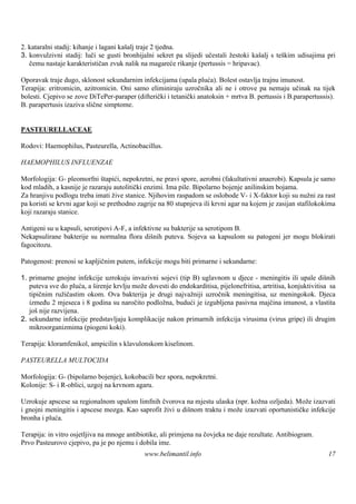 2. kataralni stadij: kihanje i lagani kaš traje 2 tjedna.
                                         alj
3. konvulzivni stadij: luči se gusti bronhijalni sekret pa slijedi učestali žestoki kašalj s teškim udisajima pri
   čemu nastaje karakterističan zvuk nalik na magareće rikanje (pertussis = hripavac).

Oporavak traje dugo, sklonost sekundarnim infekcijama (upala pluća). Bolest ostavlja trajnu imunost.
Terapija: eritromicin, azitromicin. Oni samo eliminiraju uzročnika ali ne i otrove pa nemaju učinak na tijek
bolesti. Cjepivo se zove DiTePer-paraper (difterički i tetanički anatoksin + mrtva B. pertussis i B.parapertussis).
B. parapertusis izaziva slične simptome.


PASTEURELLACEAE

Rodovi: Haemophilus, Pasteurella, Actinobacillus.

HAEMOPHILUS INFLUENZAE

Morfologija: G- pleomorfni štapići, nepokretni, ne pravi spore, aerobni (fakultativni anaerobi). Kapsula je samo
kod mladih, a kasnije je razaraju autolitički enzimi. Ima pile. Bipolarno bojenje anilinskim bojama.
Za hranjivu podlogu treba imati žive stanice. Njihovim raspadom se oslobode V- i X-faktor koji su nužni za rast
pa koristi se krvni agar koji se prethodno zagrije na 80 stupnjeva ili krvni agar na kojem je zasijan stafilokokima
koji razaraju stanice.

Antigeni su u kapsuli, serotipovi A-F, a infektivne su bakterije sa serotipom B.
Nekapsulirane bakterije su normalna flora diš puteva. Sojeva sa kapsulom su patogeni jer mogu blokirati
                                                nih
fagocitozu.

Patogenost: prenosi se kapljičnim putem, infekcije mogu biti primarne i sekundarne:

1. primarne gnojne infekcije uzrokuju invazivni sojevi (tip B) uglavnom u djece - meningitis ili upale diš        nih
   puteva sve do pluća, a širenje krvlju može dovesti do endokarditisa, pijelonefritisa, artritisa, konjuktivitisa sa
   tipičnim ružičastim okom. Ova bakterija je drugi najvažniji uzročnik meningitisa, uz meningokok. Djeca
   između 2 mjeseca i 8 godina su naročito podložna, budući je izgubljena pasivna majčina imunost, a vlastita
   jošnije razvijena.
2. sekundarne infekcije predstavljaju komplikacije nakon primarnih infekcija virusima (virus gripe) ili drugim
   mikroorganizmima (piogeni koki).

Terapija: kloramfenikol, ampicilin s klavulonskom kiselinom.

PASTEURELLA MULTOCIDA

Morfologija: G- (bipolarno bojenje), kokobacili bez spora, nepokretni.
Kolonije: S- i R-oblici, uzgoj na krvnom agaru.

Uzrokuje apscese sa regionalnom upalom limfnih čvorova na mjestu ulaska (npr. kožna ozljeda). Može izazvati
i gnojni meningitis i apscese mozga. Kao saprofit živi u dišnom traktu i može izazvati oportunističke infekcije
bronha i pluća.

Terapija: in vitro osjetljiva na mnoge antibiotike, ali primjena na čovjeka ne daje rezultate. Antibiogram.
Prvo Pasteurovo cjepivo, pa je po njemu i dobila ime.
                                             www.belimantil.info                                                  17
 