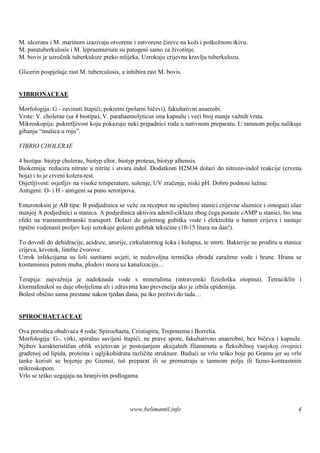M. ulcerans i M. marinum izazivaju otvorene i zatvorene čireve na koži i potkožnom tkivu.
M. paratuberkulosis i M. lepraemurium su patogeni samo za životinje.
M. bovis je uzročnik tuberkuloze preko mlijeka. Uzrokuju crijevnu kravlju tuberkulozu.

Glicerin pospješ rast M. tuberculosis, a inhibira rast M. bovis.
                uje


VIBRIONACEAE

Morfologija: G - zavinuti štapići, pokretni (polarni bičevi), fakultativni anaerobi.
Vrste: V. cholerae (sa 4 biotipa), V. parahaemolyticus ima kapsulu i veći broj manje važnih vrsta.
Mikroskopija: pokretljivost koju pokazuju neki pripadnici roda u nativnom preparatu. U tamnom polju nalikuje
gibanju “muš u roju”.
             ica

VIBRIO CHOLERAE

4 biotipa: biotyp cholerae, biotyp eltor, biotyp proteus, biotyp albensis.
Biokemija: reducira nitrate u nitrite i stvara indol. Dodatkom H2SO4 dolazi do nitrozo-indol reakcije (crvena
boja) i to je crveni kolera-test.
Osjetljivost: osjetljiv na visoke temperature, sušenje, UV zračenje, niski pH. Dobro podnosi lužine.
Antigeni: O- i H - antigeni sa puno serotipova.

Enterotoksin je AB tipa: B podjedinica se veže za receptor na epitelnoj stanici crijevne sluznice i omogući ulaz
manjoj A podjedinici u stanicu. A podjedinica aktivira adenil-ciklazu zbog čega poraste cAMP u stanici, š ima
                                                                                                         to
efekt na transmembranski transport. Dolazi do golemog gubitka vode i elektrolita u lumen crijeva i nastaje
tipični vodenasti proljev koji uzrokuje golemi gubitak tekućine (10-15 litara na dan!).

To dovodi do dehidracije, acidoze, anurije, cirkulatornog š i kolapsa, te smrti. Bakterije ne prodiru u stanice
                                                           oka
crijeva, krvotok, limfne čvorove.
Uzrok infekcijama su loši sanitarni uvjeti, te nedovoljna termička obrada zaražene vode i hrane. Hrana se
kontaminira putem muha, plodovi mora uz kanalizaciju…

Terapija: najvažnija je nadoknada vode s mineralima (intravenski fiziološ otopina). Tetraciklin i
                                                                                    ka
klormafenikol su daje oboljelima ali i zdravima kao prevencija ako je izbila epidemija.
Bolest obično sama prestane nakon tjedan dana, pa tko preživi do tada…


SPIROCHAETACEAE

Ova porodica obuhvaća 4 roda: Spirochaeta, Cristispira, Treponema i Borrelia.
Morfologija: G-, vitki, spiralno savijeni štapići, ne prave spore, fakultativno anaerobni, bez bičeva i kapsule.
Njihov karakterističan oblik uvjetovan je postojanjem aksijalnih filamenata u fleksibilnoj vanjskoj ovojnici
građenoj od lipida, proteina i ugljikohidrata različite strukture. Budući se vrlo teško boje po Gramu jer su vrlo
tanke koristi se bojenje po Giemsi, tuš preparat ili se promatraju u tamnom polju ili fazno-kontrastnim
mikroskopom.
Vrlo se teš uzgajaju na hranjivim podlogama.
           ko




                                            www.belimantil.info                                                4
 