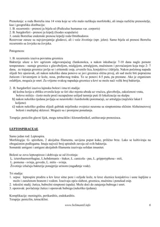 Prenošenje: u rodu Borrelia ima 14 vrsta koje se vrlo malo razlikuju morfološki, ali imaju različite prenositelje,
kao i geografsku distibuciju:
1. B. recurrentis - prenosi ju bijela uš(Pediculus humanus var. corporis)
2. B. burgdorferi - prenosi ju krpelj (Ixodes scapularis)
3. ostale Borreliae endemski prenose krpelji roda Ornithodoros
Rezervoar zaraze su najvjerojatnije glodavci, ali i veće životinje (npr. jelen). Samo bijela ušprenosi Borreliu
recurrentis sa čovjeka na čovjeka.

Patogeneza:

1. B. recurrentis izaziva povratnu groznicu
Bakterije ulaze u krv ugrizom odgovarajućeg člankonošca, a nakon inkubacije 7-10 dana naglo poraste
temperatura - nastaje groznica s glavoboljom, mialgijom, artralgijom, mučninom i povraćanjem koja traje 2- 7
dana, za trajanja groznice javlja se i eritemski osip, crvenilo lica, konjuktiva i ždrijela. Nakon početnog napada
slijedi brz oporavak, ali nakon nekoliko dana ponovo se javi groznica slična prvoj, ali sad može biti popraćena
žuticom i krvarenjem iz kože, nosa, probavnog trakta. To se ponovi 4-5 puta, pa prestane. Ako je organizam
oslabljen, moguća je smrt. Za vrijeme svakog napadaja groznice u krvi se može naći velik broj bakterija.

2. B. burgdorferi izaziva lajmsku bolest i ima tri stadija:
   a) kožna lezija u obliku crvenila koje se širi oko mjesta uboda uz vrućicu, glavobolju, zakočenost vrata,
     bolove mišića - često može proći nezapaženo uslijed tamnije puti ili lokalizacije na skalpu
  b) nakon nekoliko tjedana javljaju se neurološki i kardiološki poremaćaji, uz artralgiju (najčešće lakat I
     koljeno)
  c) nakon nekoliko godina slijedi gubitak mijelinske ovojnice neurona sa simptomima sličnim Alzheimerovoj
     bolesti i multiploj sklerozi. Moguće su i promjene ponašanja.

Terapija: penicilin glavni lijek, mogu tetraciklin i kloramfenikol, uništavanje prenosioca.


LEPTOSPIRACEAE

Samo jedan rod: Leptospira.
Morfologija: G- spirohete, 2 aksijalna filamenta, savijena poput kuke, prilično brze. Lako se kultiviraju na
obogaćenim podlogama. Imaju najveći broj spiralnih zavoja od svih bakterija.
Somatski antigeni i antigeni aksijalnih filamenta izazivaju solidan imunitet.

Bolesti se zovu leptospiroze i dobivaju se od životinja:
L. icterohaemorrhagiae, L.hebdomanis - š   takor, L. canicola - pas, L. grippotyphosa - miš,
L. pomona - svinja, govedo, L. mitis - svinja.
Životinje izlučuju bakterije ponajprije urinom (zagađenje vode).

Tri stadija:
1. sepsa: leptospire prodiru u krv kroz sitne pore i ozljede kože, te kroz sluznice konjuktiva i usne šupljine a
   može i zaraženom hranom i vodom. Izazivaju opću slabost, groznicu, mučninu i ponekad osip.
2. toksični stadij: žutica, bubrežni simptomi (upala). Može doći do zatajenja bubrega i smrt.
3. oporavak: povlačenje žutice i oporavak bubrega (nekoliko tjedana).

Komplikacije: meningitis, perikarditis, endokarditis.
Terapija: penicilin, tetraciklini.
                                             www.belimantil.info                                                6
 