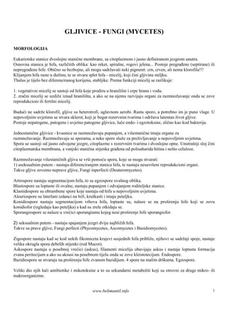 GLJIVICE - FUNGI (MYCETES)

MORFOLOGIJA

Eukariotske stanice dvoslojne stanične membrane, sa citoplazmom i jasno definiranom jezgrom unutra.
Osnovna stanica je hifa, različitih oblika: kao reket, spiralne, rogovi jelena... Postoje pregrađene (septirane) ili
nepregrađene hife. Obično su bezbojne, ali mogu sadržavati neki pigment: crn, crven, ali nema klorofila!!!
Klijanjem hifa raste u dužinu, te se stvara splet hifa - micelij, koji čini gljivinu steljku.
Thalus je tijelo bez diferenciranog korijena, stabljike. Prema funkciji micelij se razlikuje:

1. vegetativni micelij se sastoji od hifa koje prodiru u hraniliš i crpe hranu i vodu.
                                                                 te
2. zračni micelij se uzdiže iznad hranilišta, a ako se na njemu razvijaju organi za razmnožavanje onda se zove
reprodukcioni ili fertilni micelij.

Budući ne sadrže klorofil, gljive su heterotrofi, uglavnom aerobi. Rastu sporo, a potrebno im je puno vlage. U
nepovoljnim uvjetima se stvara sklerot, koji je bogat rezervnim tvarima i održava latentan život gljive.
Postoje nepatogene, patogene i uvjetno patogene gljivice, luče endo- i egzotoksine, slično kao kod bakterija.

Jednostanične gljivice - kvasnice se razmnožavaju pupanjem, a višestanične imaju organe za
razmnožavanje. Razmnožavaju se sporama, a neke spore služe za preživljavanje u nepovoljnim uvjetima.
Spora se sastoji od jasno odvojene jezgre, citoplazme s rezervnim tvarima i dvoslojne opne. Unutrašnji sloj čini
citoplazmatska membrana, a vanjski stanična stijenka građena od polisaharida hitina i nešto celuloze.

Razmnožavanje višestaničnih gljiva se vrši pomoću spora, koje se mogu stvarati:
1) aseksualnim putem - nastaju diferenciranjem stanica hifa, te nastaju nesavrš reprodukcioni organi.
                                                                               eni
Takve gljive zovemo neprave gljive, Fungi inperfecti (Deuteromycetes).

Artrospore nastaju segmentacijom hifa, to su egzospore ovalnog oblika.
Blastospore su loptaste ili ovalne, nastaju pupanjem i odvajanjem roditeljske stanice.
Klamidospore su obrambene spore koje nastaju od hifa u nepovoljnim uvjetima.
Aleuriospore su laterlani izdanci na hifi, kruškasti i imaju peteljku.
Konidiospore nastaju segmentacijom vrhova hifa, loptaste su, nalaze se na proš         irenju hife koji se zovu
konidiofor (izgledaju kao peteljka) a kad su zrele otkidaju se.
Sporangiospore se nalaze u vrećici sporangiumu kojeg nosi proširenje hife sporangiofor.

2) seksualnim putem - nastaju spajanjem jezgri dviju najbližih hifa.
Takve su prave gljive, Fungi perfecti (Phycomycetes, Ascomycetes i Basidiomycetes).

Zigospore nastaju kad se kod nekih fikomiceta krajevi susjednih hifa približe, njihovi se sadržaji spoje, nastaje
velika okrugla spora debelih stijenki (rod Mucor).
Askospore nastaju u posebnoj vrećici (askus), filamenti micelija obavijaju askus i nastaje loptasta formacija
zvana peritecijum a ako su aksusi na posebnom tijelu onda se zove kleistotecijum. Endospore.
Bazidiospore se stvaraju na proš irenju hife zvanom bazidijum. 4 spore na malim drškama. Egzospore.

Veliki dio njih luči antibiotike i mikotoksine a to su sekundarni metaboliti koji su otrovni za druge mikro- ili
makroorganizme.


                                             www.belimantil.info                                                  1
 
