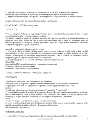 4) na CNS-a teče postupno. Javljaju se sve jače glavobolje, povraćanje, nesvjestica i bol u zadnjem
dijelu vrata. Slijede depresija, dezorjentacija, te smrt kao posljedica paralize centra za disanje.
5) kriptokokoza usne šupljine: sitni apscesi, a može se proširiti na crijevnu sluznicu, te uzrokovati čireve.

terapija: amfotericin B i 5-flurocitozin. Najbolje djeluju u kombinaciji.

b) PATOGENE PLIJESNI (Hyphomycetes)

ASPERGILLUS

Vrste: A. fumigatus, A. flavus, A. niger. Rasprostranjene gljivice u zemlji i zraku, izazivaju sistemsko oboljenje
aspergilozu kod čovjeka i životinja, najčešće u plućima.
Morfologija: micelij se sastoji od granatih i septiranih hifa. Na vrhovima hifa su proš     irenja konidiofore, na
kojima su kratki držači fijalide, na koje se nastavljaju konidiospore (sve to skupa liči na loptice). Rastu na
različitim podlogama a kolonije su kuglaste, paučinaste i bijele, ali kasnije postanu naborane sa centralnim
udubljenjem, te poprimi boju od konidiospora.

Aspergiloza pluća nastaje udisanjem spora, a postoje:
1) primarna je slična tuberkulozi. Gljiva bubri i raste, te nastaju proširenja bronha, nalik na kaverne. Od
razgranatih hifa se stvara loptasta formacija aspergilom ili megamicetom koji ne prodire u plućno tkivo. To je
tumorska masa koja se vidi na rengenu kao polumjesečasta masa i tako se razlikuje od tuberkuloze. Izaziva
temperaturu, gnojan ispljuvak, a može završ kao tuberkuloza.
                                             iti
2) sekundarna se javlja se kod oboljelih od leukemije, karcinoma i tuberkuloze.
Ostali oblici:
a) aspergiloza CNS - granulomi na mozgu i meningama uzrokuju smrt.
b) konjuktivitis i druge promjene na oku
c) otrovanje aflatoksinima (vidi mikotoksine)

Terapija je amfotericin B i kirurš odstranjivanje aspergiloma.
                                  ko

PENICILLIUM

Saprofiti su na sluznicama, koži, uš nom kanalu, noktima i hrani.
Morfologija: čine ga razgranate i septirane hife i male loptaste spore na konidioforima (kao metlice)
Na podlogama rastu brzo, kao bijele kolonije u početku, a onda su pigmentirane ovisno o vrsti.
Korisni:
1) značenje u industriji: pripreme sireva, fermentacija (P. roqueforti, P. camemberti)
2) proizvođači antibiotika: P. notatum, P. crysogenum, P. griseoflavinum stvaraju monopeniciličnu kiselinu iz
koje se dobiva peniclin. Iako se danas antibiotici rade industrijski, ove gljivice su povijesno gledano imale
nezamjenjivu ulogu u ispunjenju tisućljetnog sna o borbi protiv mnogi bolesti. (dobar sam)
Štetni:
1) uzročnici trulenja i gnilenja hrane, kvarenja voća, povrća i žitarica.
2) bolest peniciloza, koja je uglavnom lokalizirana u plućima. Uglavnom su kronični upalni procesi, a može
doći i do astmatičkih napadaja. Može doći i do trovanja mikotoksinima.
Nije pronađen lijek za peniciloze.

c) MUCOR I RHIZOPUS

To su F. perfecti (Phycomycetes, Zygomycetes). Rasprostranjeni su kao saprofiti u zemlji i na hrani.
                                             www.belimantil.info                                                4
 