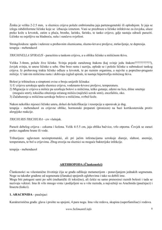 Ženka je velika 2-2.5 mm, u sluznicu crijeva polaže embrionalna jaja partenogenetski ili oplodnjom. Iz jaja se
izlegu rabditiformne ličinke koje se izbacuju izmetom. Vani se preobraze u ličinke infektivne za čovjeka, ulaze
preko kože u krvotok, zatim u pluća, bronhe, larinks, farinks, te tanko crijevo, gdje nastaju odrasli paraziti.
Ličinke su osjetljive na hladnoću, sušu i sunčevu svjetlost.

Strongiloidoza: upalu i nekroze u probavnim sluznicama, sluzno-krvave proljeve, mršavljenje, te depresija.
terapija - mebendazol

TRICHINELLA SPIRALIS - parazitira u tankom crijevu, a u obliku ličinke u mišićnom tkivu.

Velika 3-4mm, polaže žive ličinke. Svinja pojede zaraženog štakora (kaj svinje jedu š          takore???????????),
čovjek svinju, te unese ličinke u sebe. One brzo rastu i sazriju, oplode se i polože ličinke u submukozi tankog
crijeva. Iz probavnog trakta ličinke odlaze u krvotok, te po raznim organima, a najviše u poprežno-prugasto
mišićje. U takvim mišićima rastu i dobivaju izgled spirale, te nastaje hipertrofija mišićnog tkiva.

Bolest je trihineloza a simptomi ovise o broju unijetih ličinaka:
1) U crijevu uzrokuju upalu sluznice crijeva, vodenasto-krvave proljeve, temperaturu.
2) Migracija iz crijeva u mišiće pa uzorkuju bolovi u mišićima, teško gutanje, edemi na licu, dišne smetnje
   (moguća smrt), toksička oštećenja srčanog mišića (najčešći uzrok smti), encefalitis, oko.
3) Začahurenje u mišićima uzrokuje bolove u mišićima, svrbež kože.

Nakon nekoliko mjeseci ličinke umru, dolazi do kalcifikacije i resorpcije a oporavak je dug.
terapija - mebendazol za crijevne oblike, hormonski preparati (pronizon) na bazi kortikosteroida protiv
alergijske reakcije.

TRICHURIS TRICHIURA - crv vlašnjak.

Parazit debelog crijeva - cekuma i kolona. Velik 4-5.5 cm, jaja oblika bačvice, vrlo otporna. Čovjek se zarazi
preko zagađene hrane ili vode.

Trihurijaza: uglavnom nesimptomatski, ali pri jačim infestacijama uzrokuje diareje, slabost, anemije,
temperaturu, te bol u crijevima. Zbog erozija na sluznici su moguće bakterijske infekcije.

terapija - mebendazol



                                        ARTHROPODA (Člankonošci)

Člankonošci su višestanične životinje čija se građa odlikuje metamerijom - ponavljanjem jednakih segmenata.
Noge su također građene od segmenata (članaka) spojenih zglobovima i tako su dobili ime.
Mogu biti patogeni sami po sebi (mehanički ili toksično), ali češće su samo prenosioci raznih bolesti i tada se
nazivaju vektori. Ima ih vrlo mnogo vrsta i podijeljeni su u viš razreda, a najvažniji su Arachnida (paučnjaci) i
                                                                e
Insecta (kukci).

1. ARACHNIDA - paučnjaci

Karakteristična građa: glava i prsište su spojeni, 4 para nogu. Ima više redova, skupina (superfamiliae) i rodova.

                                             www.belimantil.info                                                 8
 