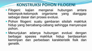 Filogeni MIKROBIOLOGI MOLEKUL KEL. 6.pptx