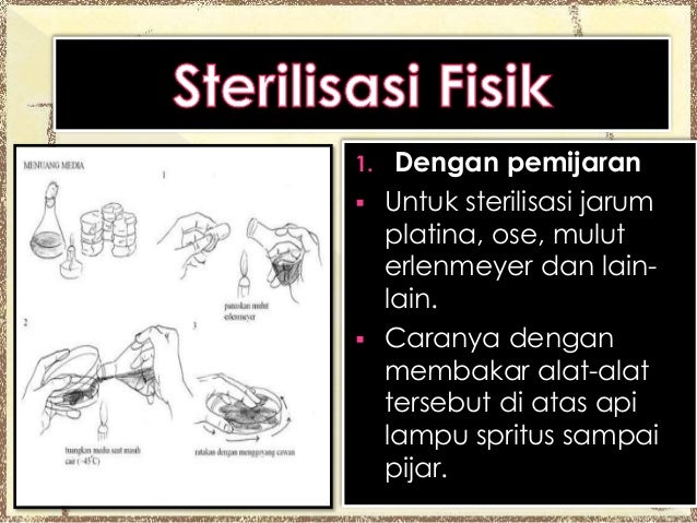 Sterilisasi, Desinfektan, dan Fermentasi