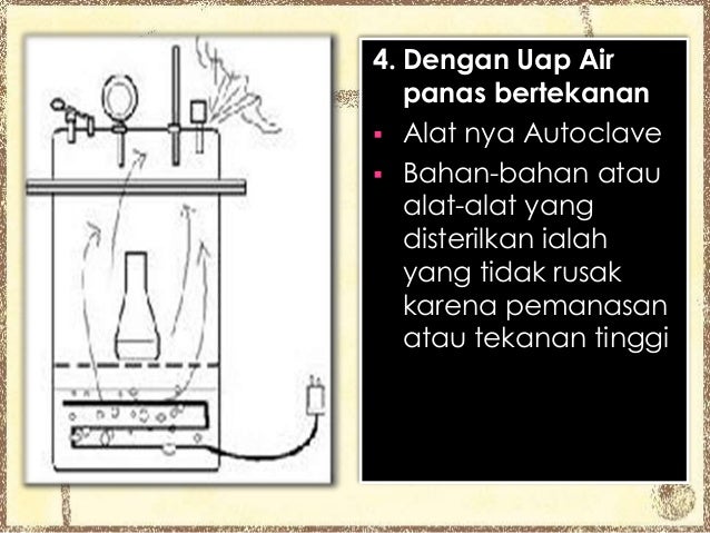 Sterilisasi, Desinfektan, dan Fermentasi