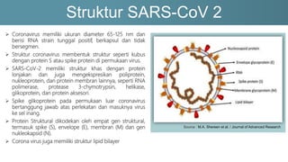 Struktur SARS-CoV 2
 Coronavirus memiliki ukuran diameter 65-125 nm dan
berisi RNA strain tunggal positif, berkapsul dan tidak
bersegmen.
 Struktur coronavirus membentuk struktur seperti kubus
dengan protein S atau spike protein di permukaan virus.
 SARS-CoV-2 memiliki struktur khas dengan protein
lonjakan dan juga mengekspresikan poliprotein,
nukleoprotein, dan protein membran lainnya, seperti RNA
polimerase, protease 3-chymotrypsin, helikase,
glikoprotein, dan protein aksesori.
 Spike glikoprotein pada permukaan luar coronavirus
bertanggung jawab atas perlekatan dan masuknya virus
ke sel inang.
 Protein Struktural dikodekan oleh empat gen struktural,
termasuk spike (S), envelope (E), membran (M) dan gen
nukleokapsid (N).
 Corona virus juga memiliki struktur lipid bilayer
Source : M.A. Shereen et al. / Journal of Advanced Research
 