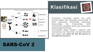 Coronavirus merupakan spesies virus yang
termasuk dalam ordo Nidovirales yang memiliki 4
famili diantaranya Arteriviridae, Roniviridae,
Mesoniviridae, dan Coronaviridae. Famili
Coronaviridae merupakan famili yang paling besar
diantara tiga famili lainnya.
Coronaviridae dibagi menjadi 2 subfamili, yaitu
Coronavirinae dan Torovirinae. Coronavirinae terdiri
dari 4 genus yaitu alpha (α), beta (β), gamma (ɤ)
and delta (d) coronavirus.
Klasifikasi
SARS-CoV 2
 