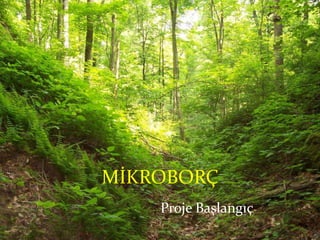 MİKROBORÇ Proje Başlangıç 