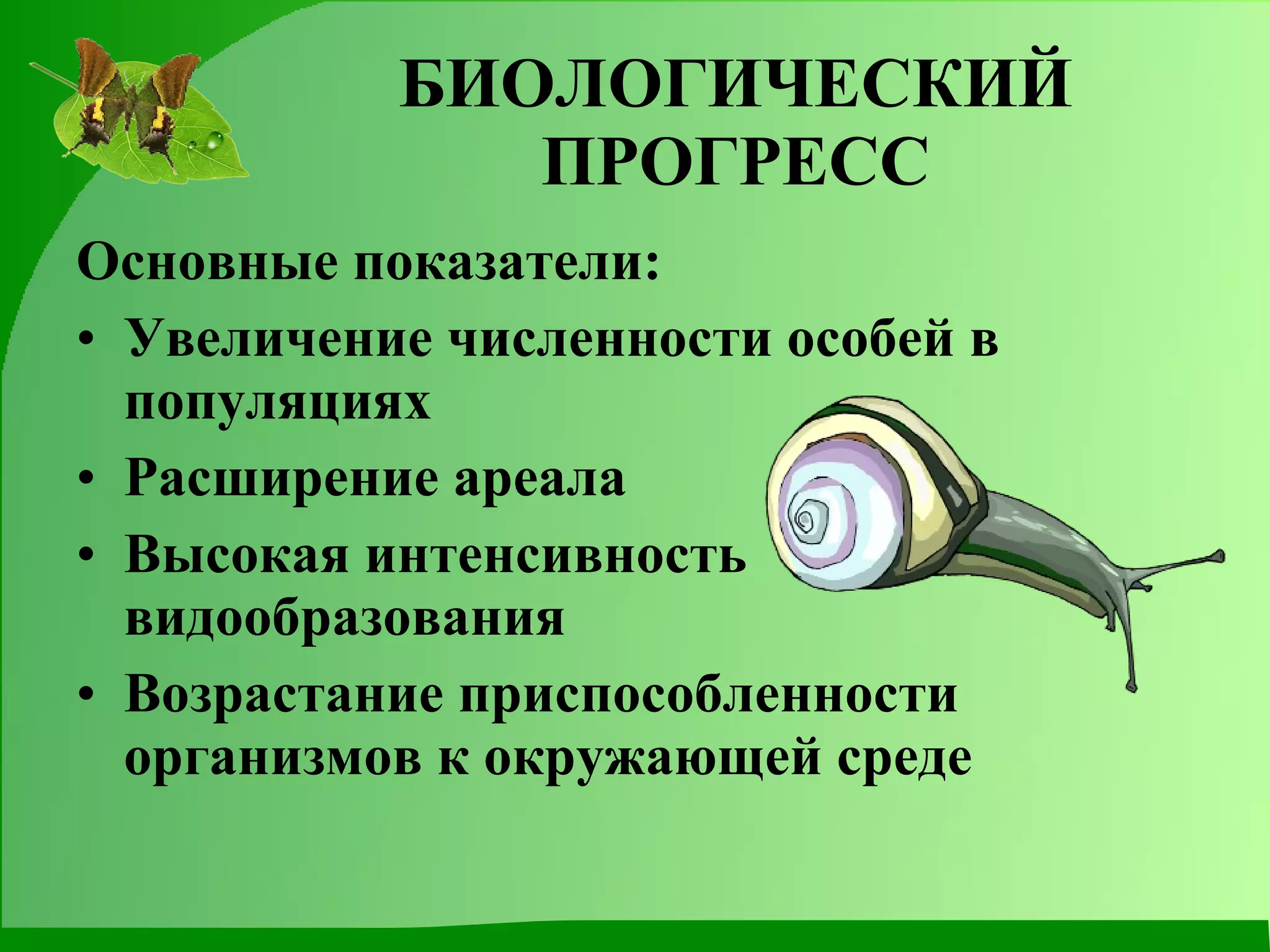БИОЛОГИЧЕСКИЙ ПРОГРЕСС Основные показатели: Увеличение численности особей в популяциях Расширение ареала Высокая интенсивность видообразования Возрастание приспособленности организмов к окружающей среде 