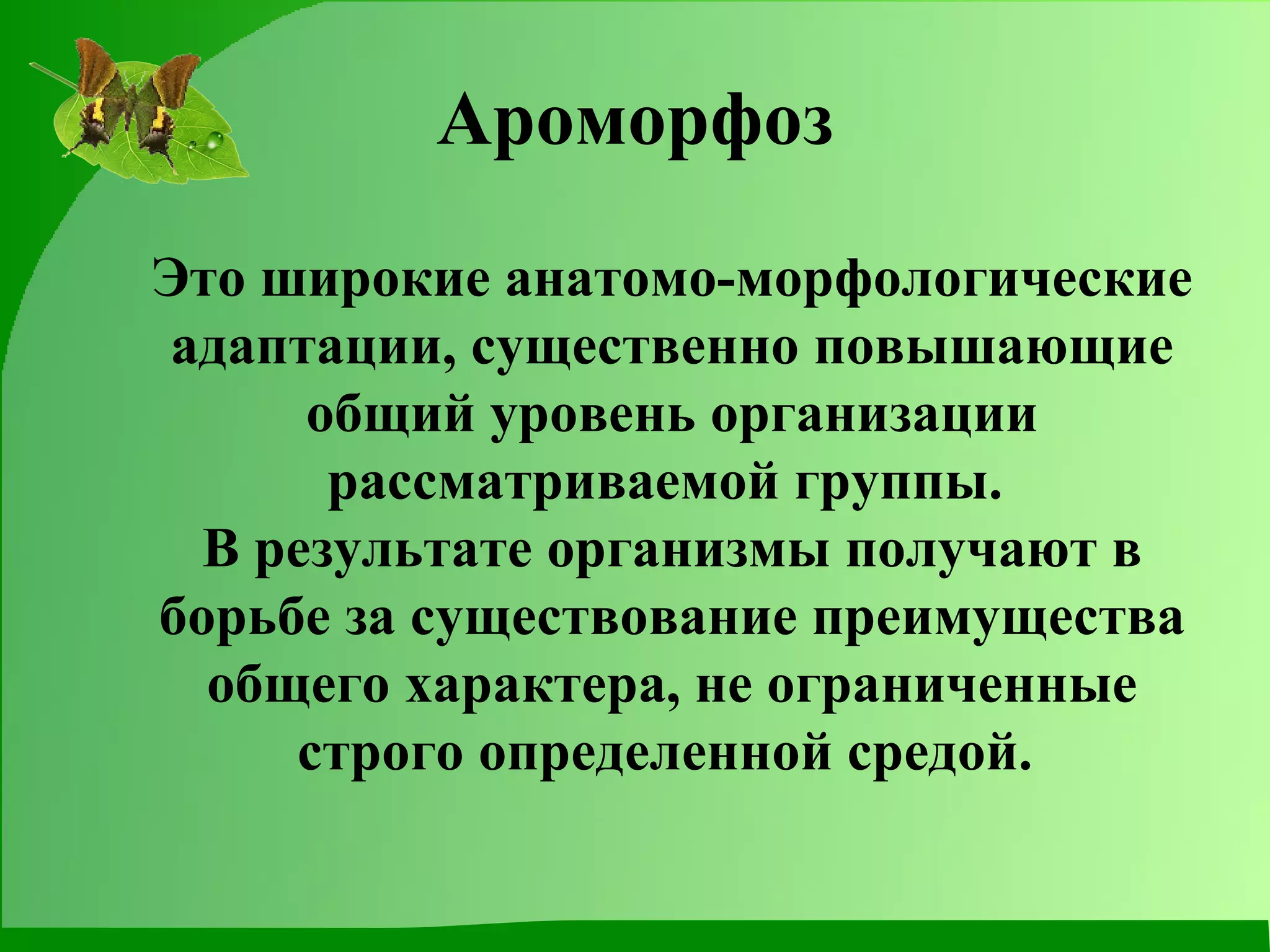 Ароморфоз Это широкие анатомо-морфологические адаптации, существенно повышающие общий уровень организации рассматриваемой группы.   В результате организмы получают в борьбе за существование преимущества общего характера, не ограниченные строго определенной средой.  